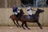 Oxford Polo 2023_01_08 0108